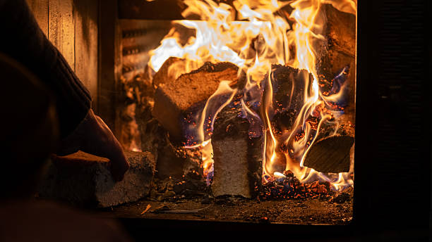 istockphoto 2217215359 612x612